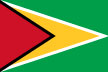 가이아나공화국 국기
